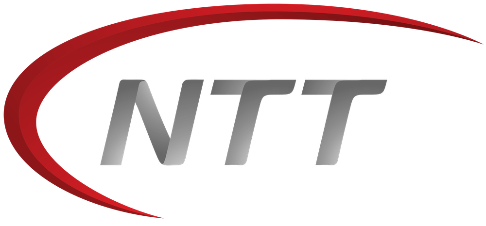 NTT Motor Group